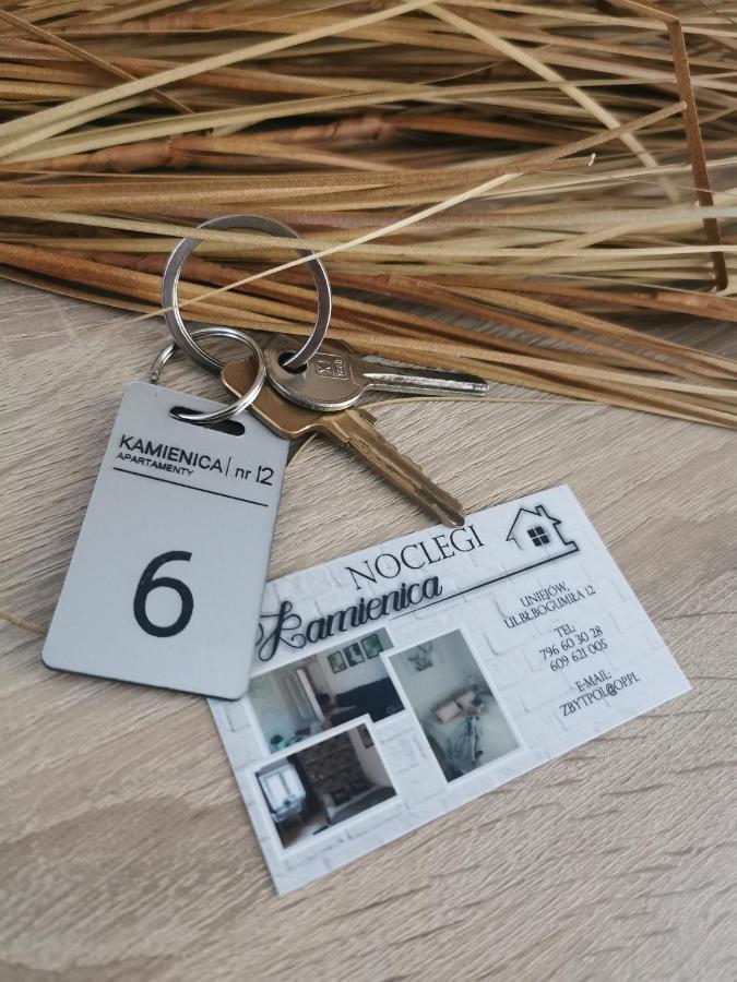 Kamienica Apartman Uniejow Kültér fotó