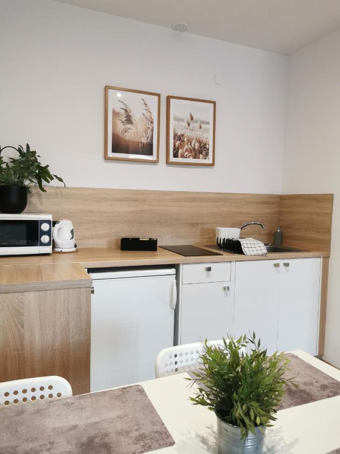 Kamienica Apartman Uniejow Kültér fotó